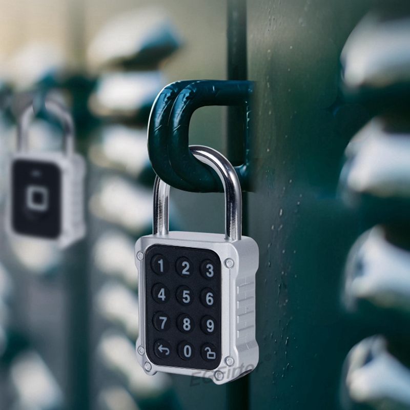 Tuya Bluetooth APP Remote Elec - Lockbox Key Secure บทวิจารณ์และราคา